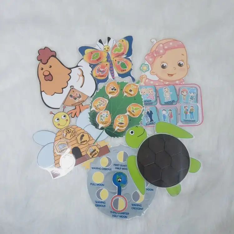 Life cycle cards