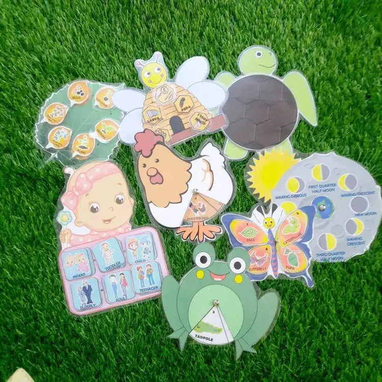 Life cycle cards