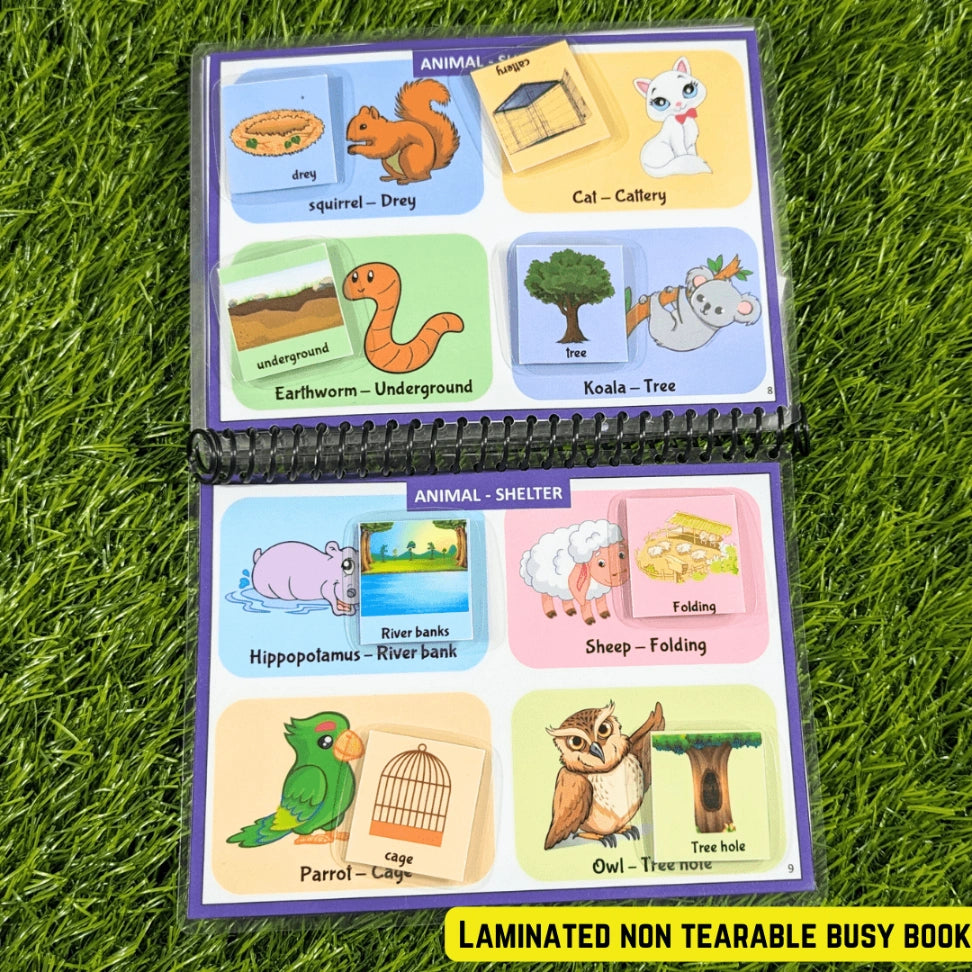 Animals and their Shelter -– A busy book binder