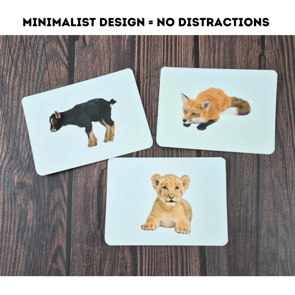 Baby Animals - Right Brain Flash Cards