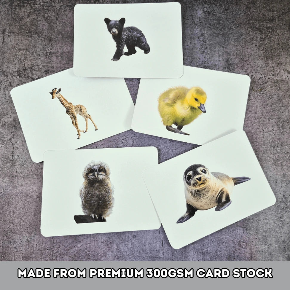 Baby Animals - Right Brain Flash Cards