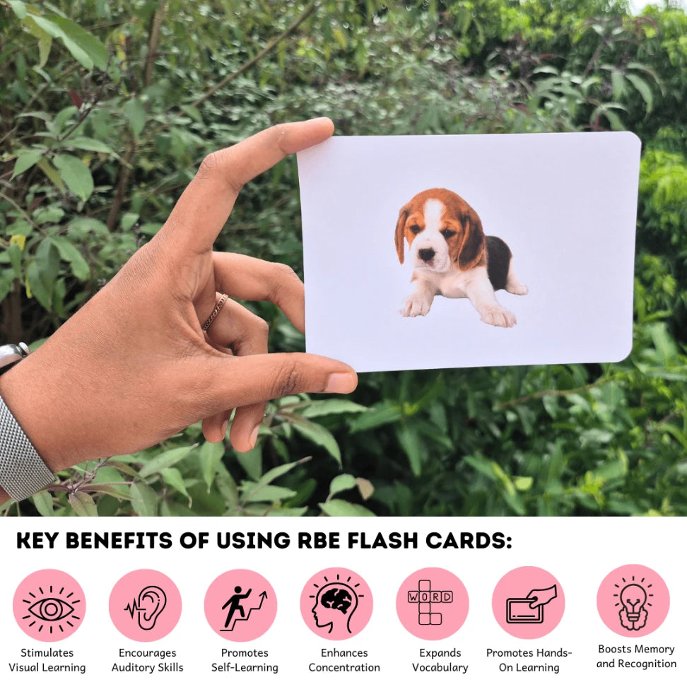 Baby Animals - Right Brain Flash Cards