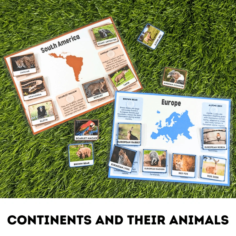 Interactive continent and animal sorting mat for kids aged 4-8