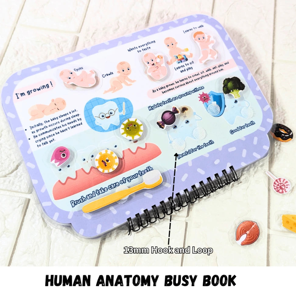 Interactive Human Body Book