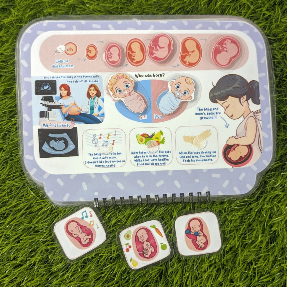 Kids Educational Anatomy Book