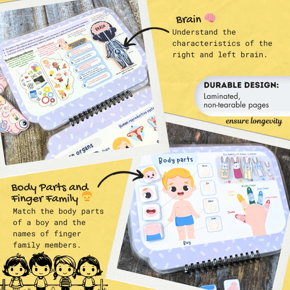 Human Anatomy busy book