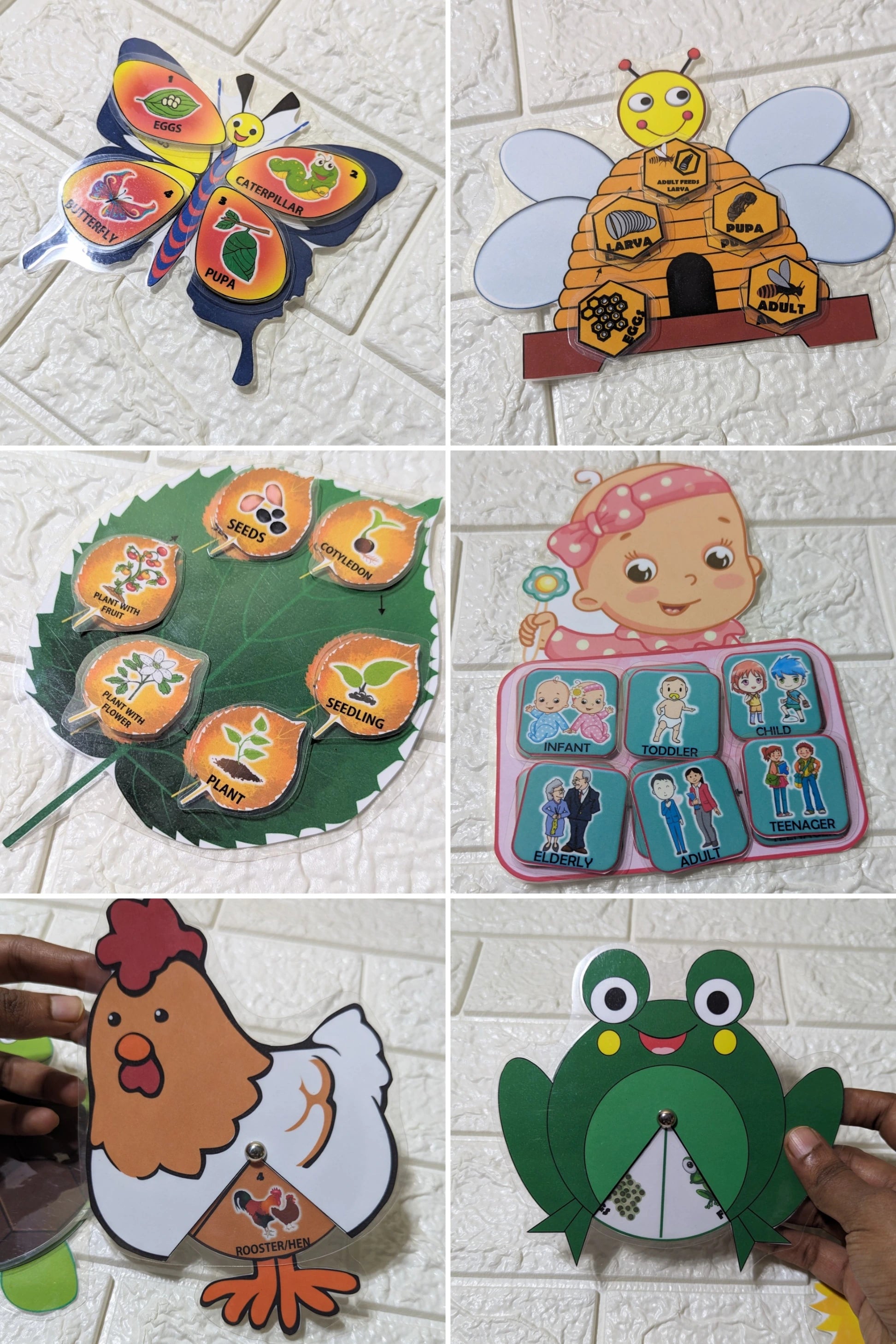 Life cycle cards