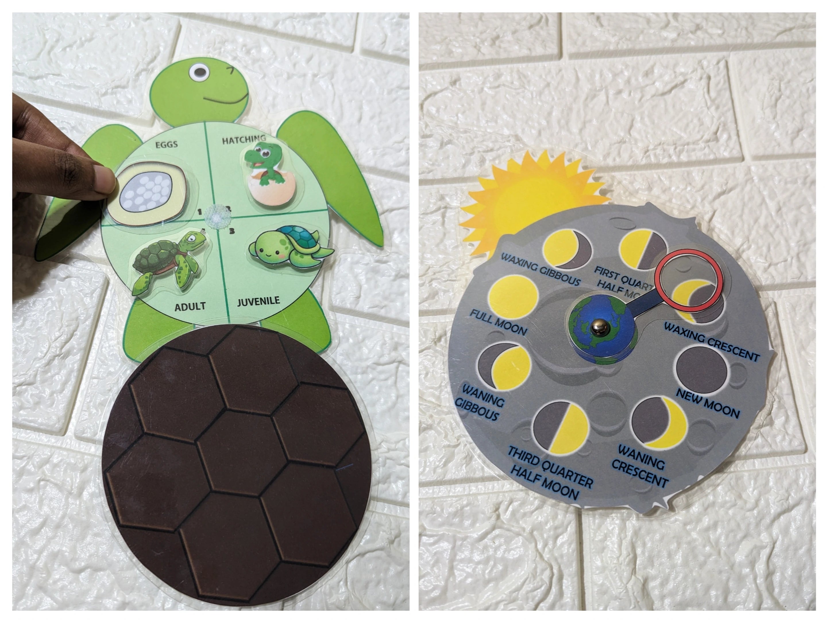 Life cycle cards