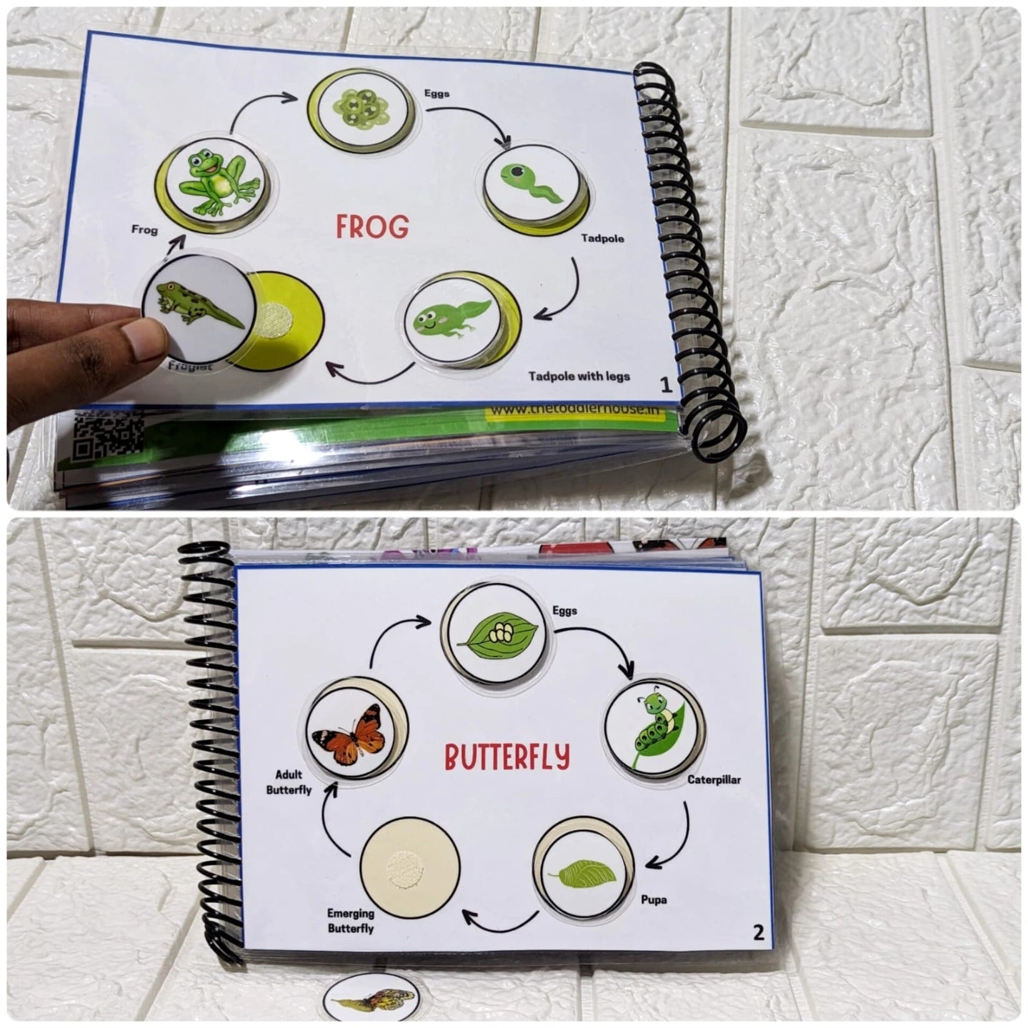 Lifecycle Busy Book