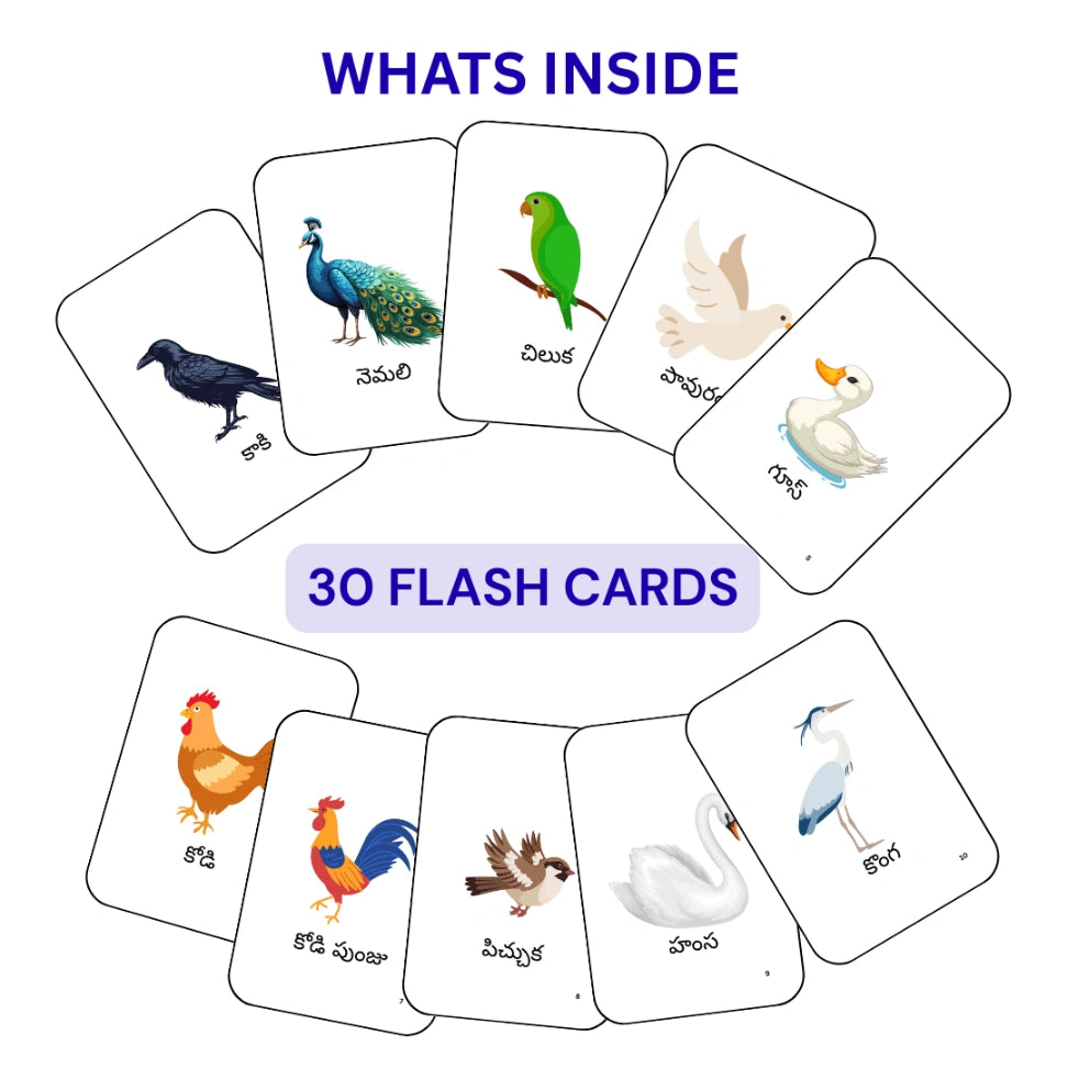 birds and insects in Telugu for kids