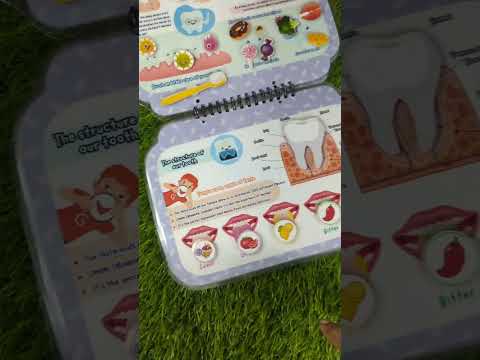 Human Body Activity Book for Children