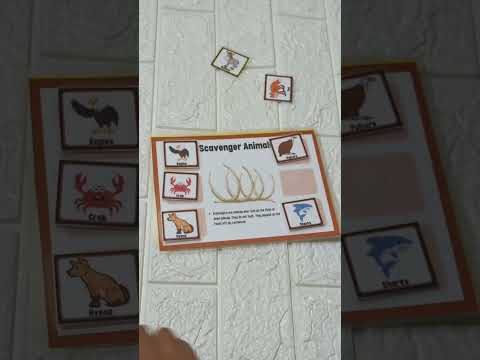 Carnivore Herbivore Omnivore Mats