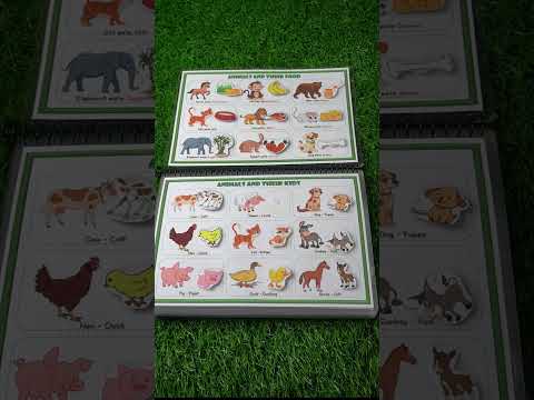 Animal Safari Busy Book for Toddlers 18 Months+ | Montessori Animal Activity Book with 20 Interactive Velcro Activities