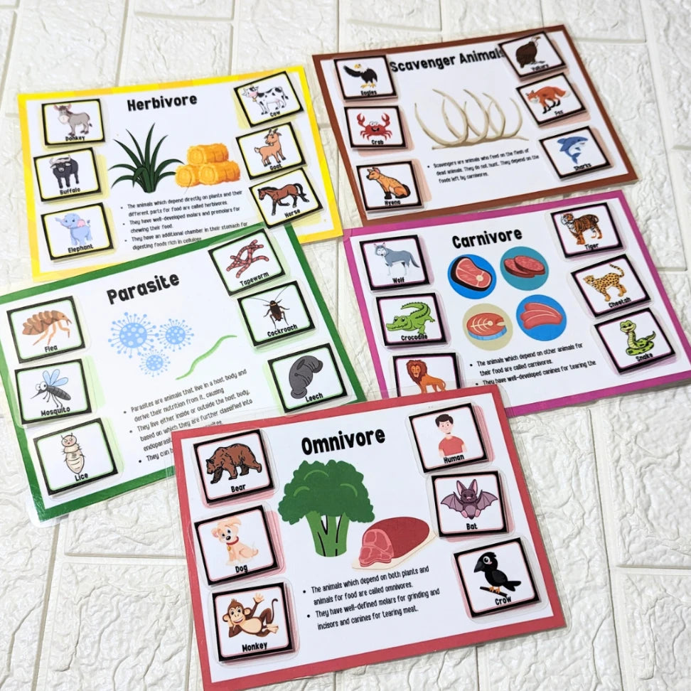 Animal classification mats