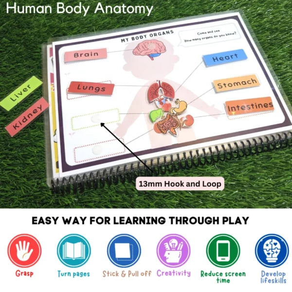My Body Level -2 Preschool busy book
