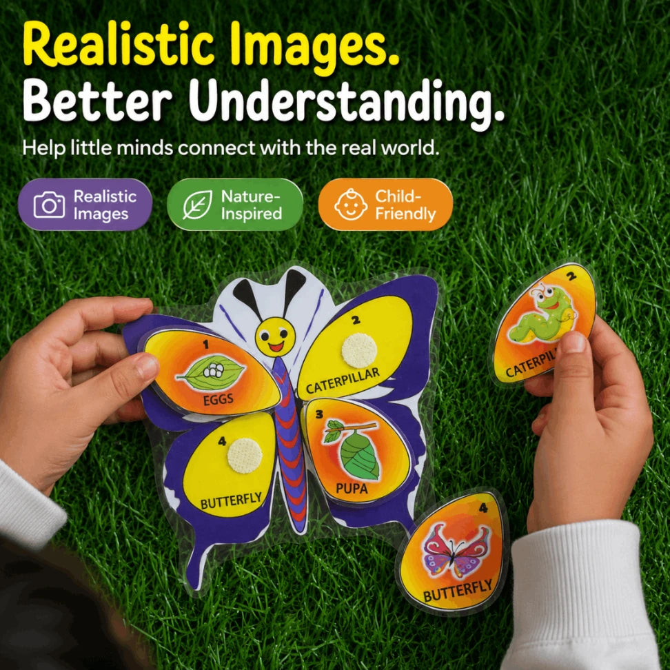 Life Cycle Cards for Kids | Montessori Nature & Science Learning Flashcards
