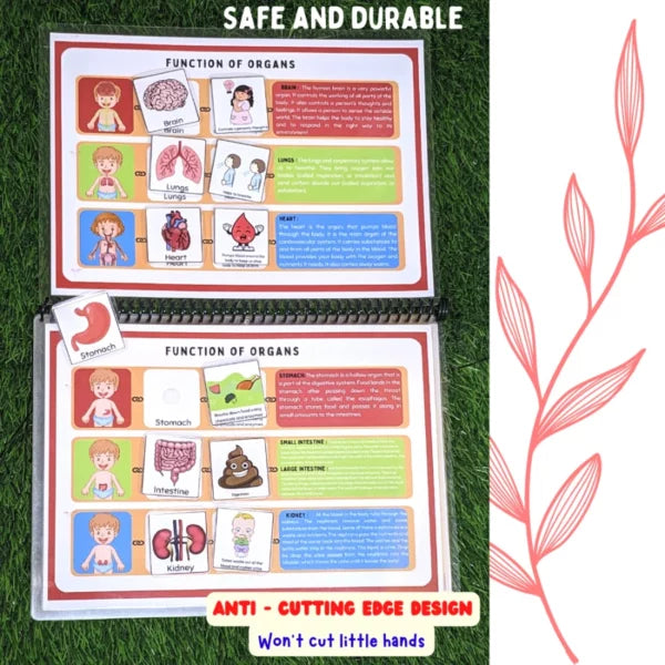 My Body Level -2 Preschool busy book