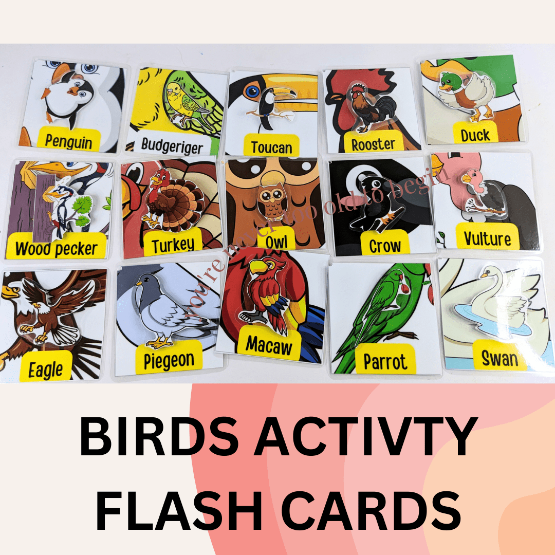 Birds Activity Flash cards