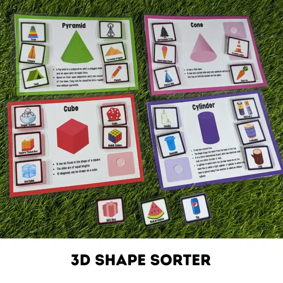 3D Shape Sorter for Kids