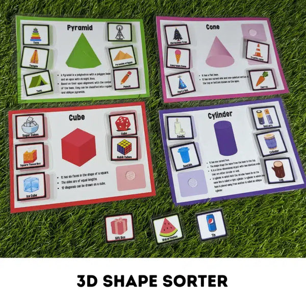 3D Shape Sorter