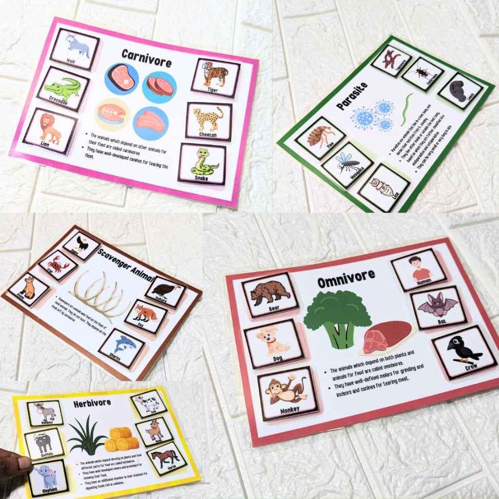 Animal classification mats