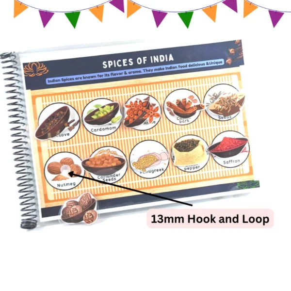 My Country, My Pride – INDIA [Preschool busy book]