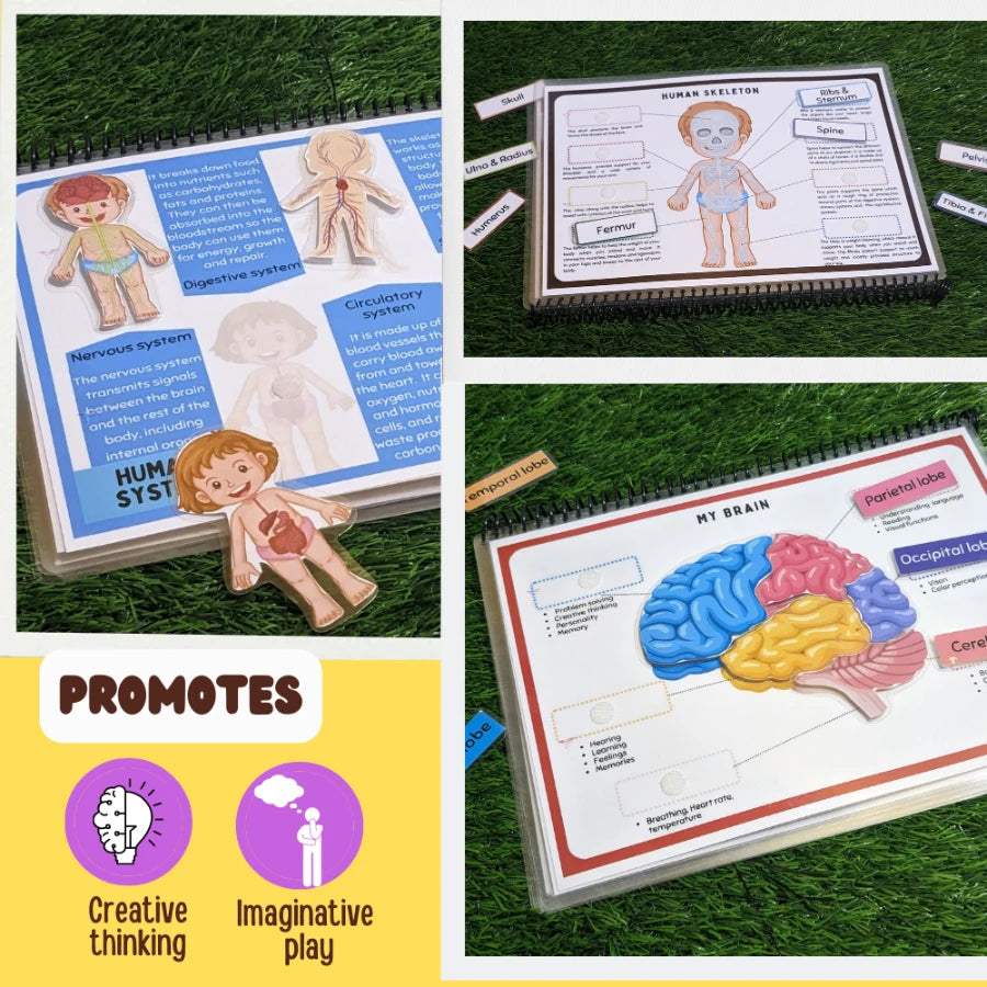 My Body Level -2 Preschool busy book