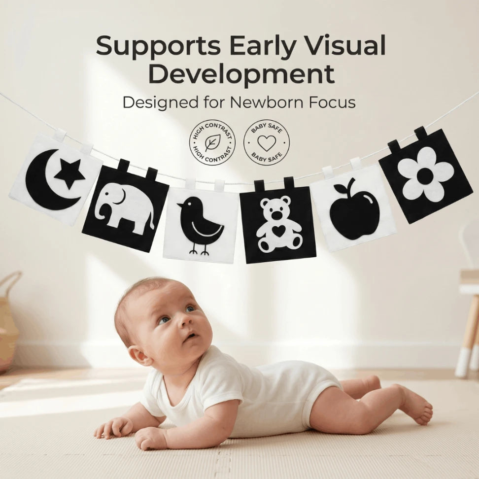 High Contrast Black & White Felt Banner & Book for Newborn Visual Stimulation