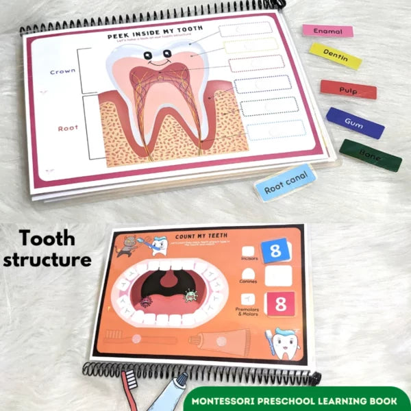 My Body Level -2 Preschool busy book