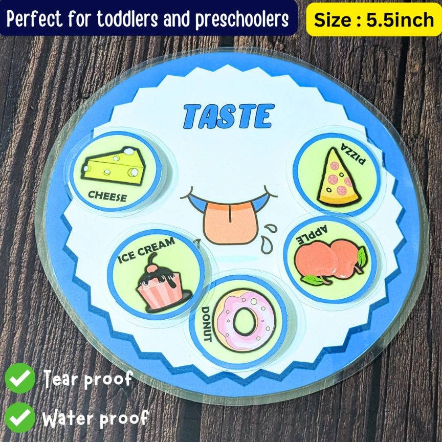 Human senses – 5 senses