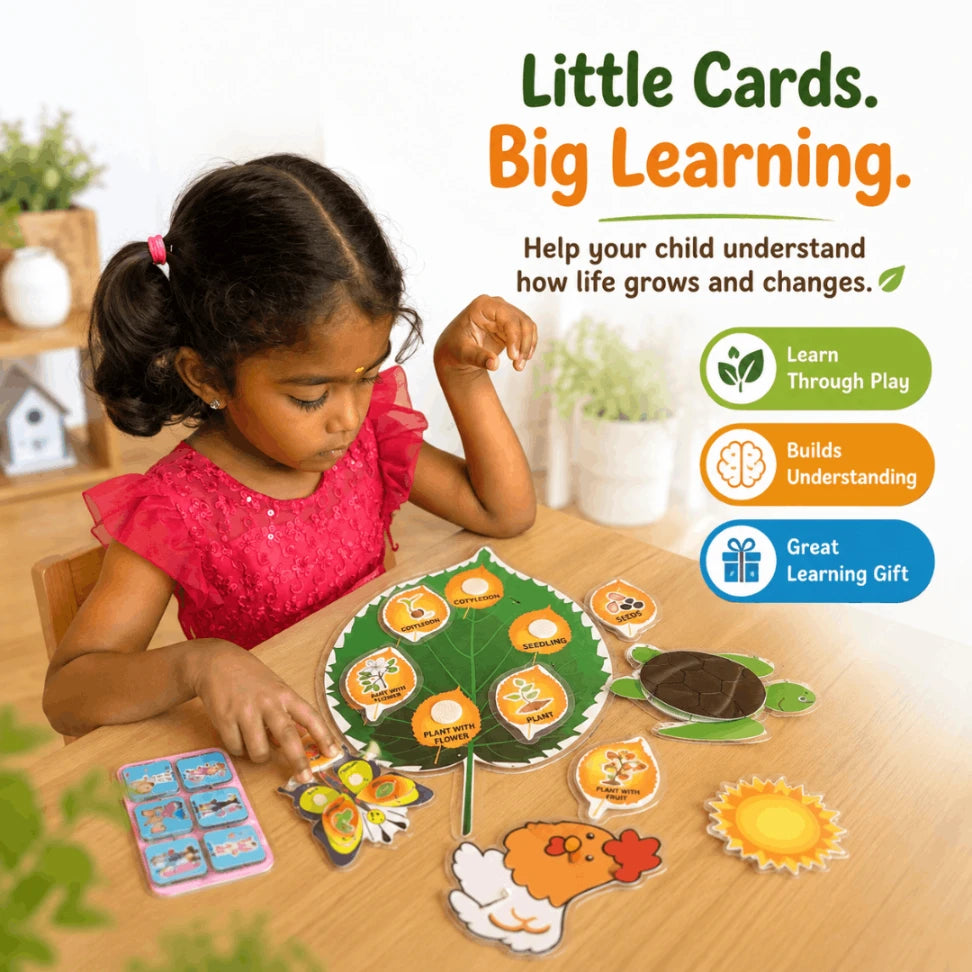 Life Cycle Cards for Kids | Montessori Nature & Science Learning Flashcards