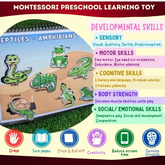 animal activity book