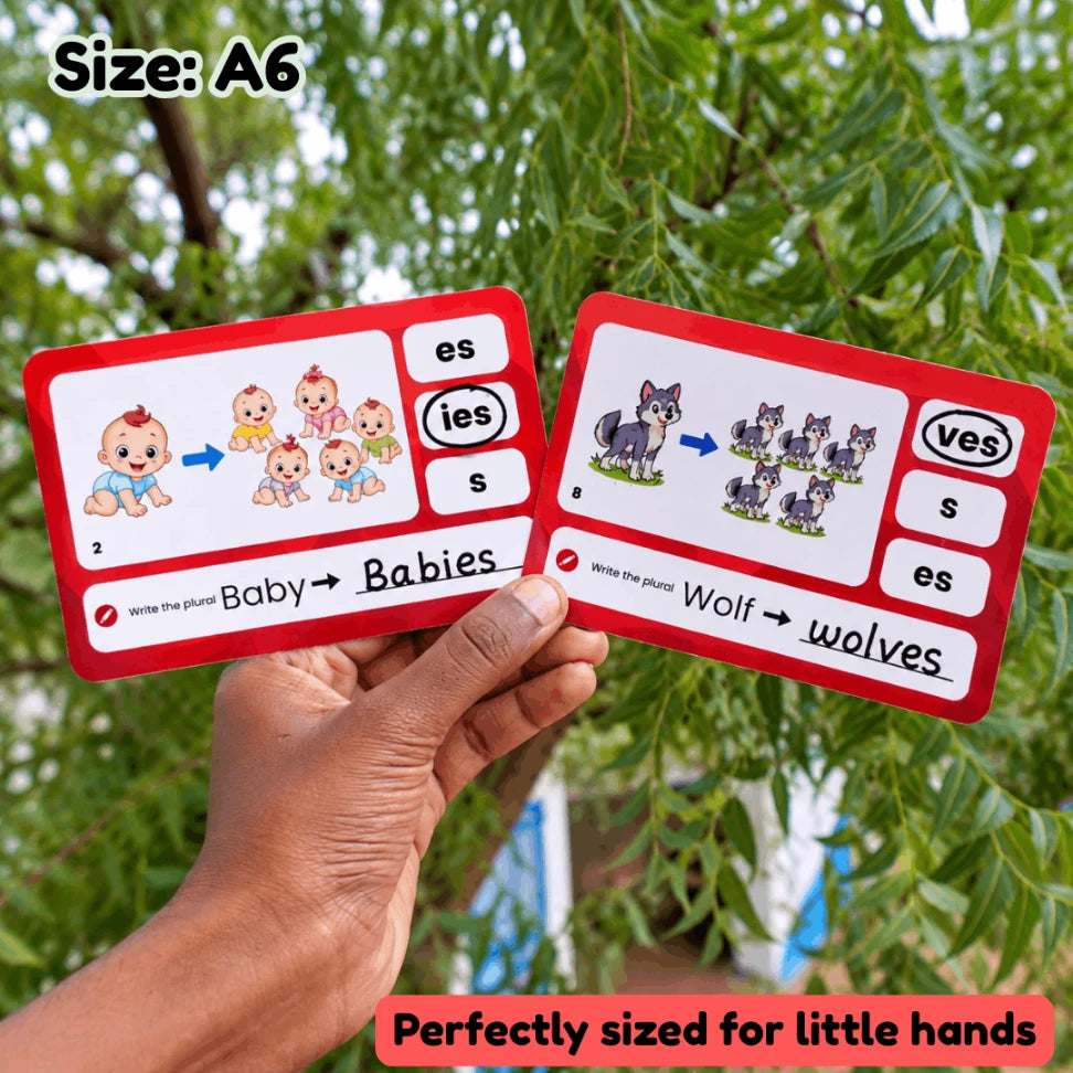 reusable singular plural nouns cards for kids