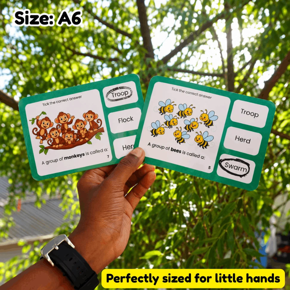 reusable vocabulary cards for preschool kids