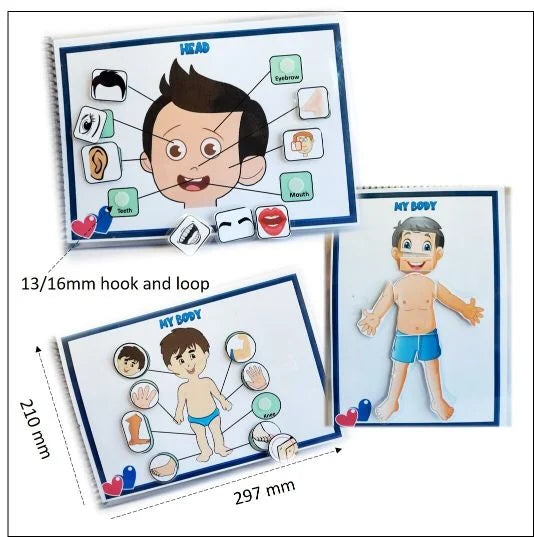 Human body activity book