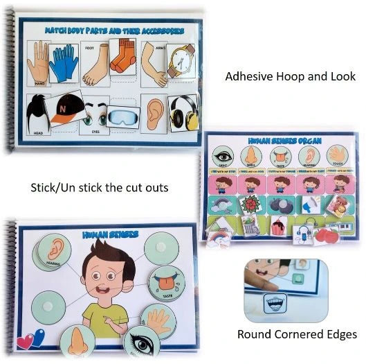 Human body activity book