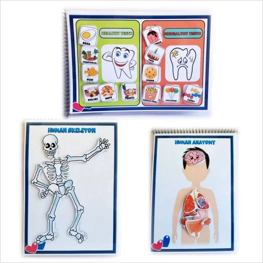 Human body activity book