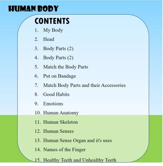 Human body activity book