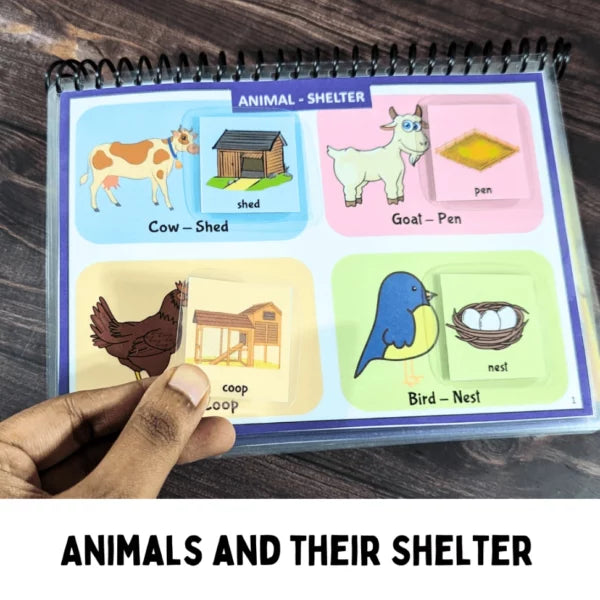 Animals and their Shelter -– A busy book binder