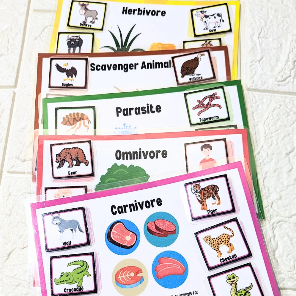 Educational Animal Classification Kit