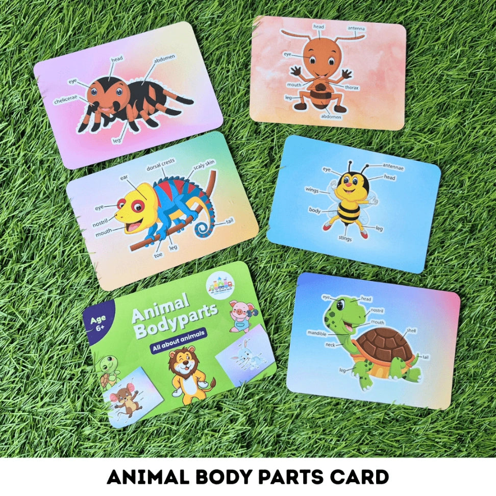 science flashcards for kids