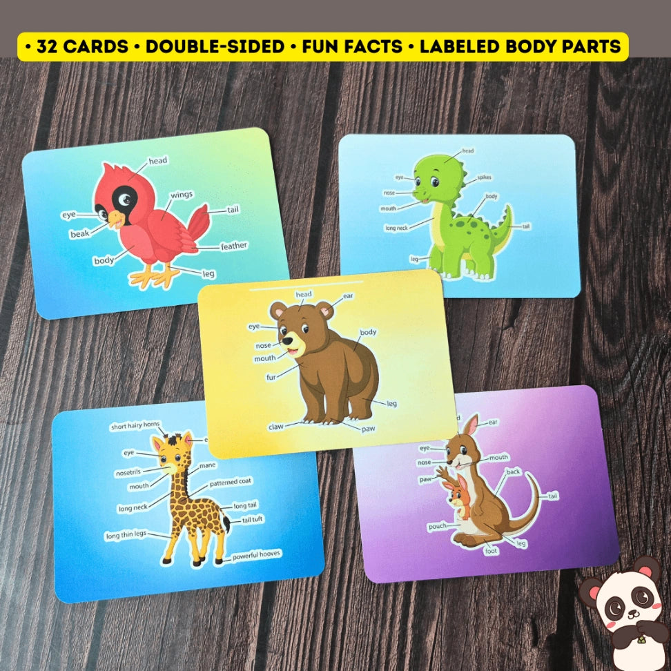 animal identification flashcards