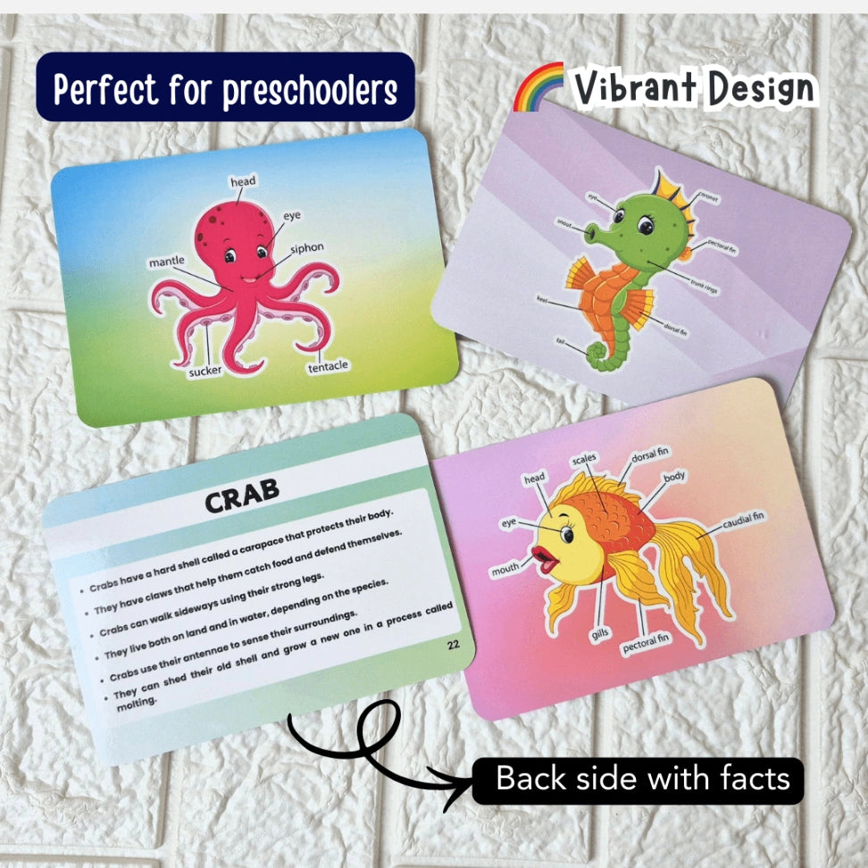 Montessori animal flashcards