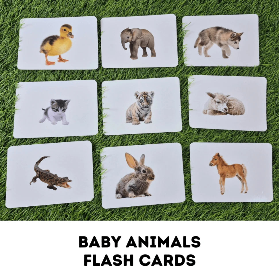 Baby Animals - Right Brain Flash Cards