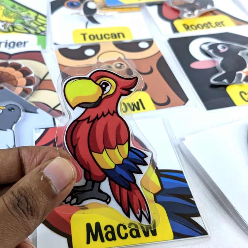 bird flashcards with matching game