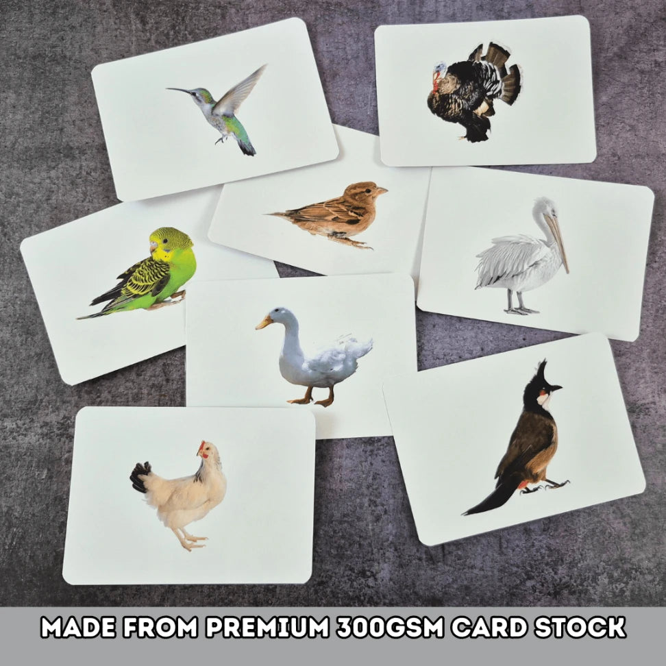 Birds - Right Brain Flash Cards