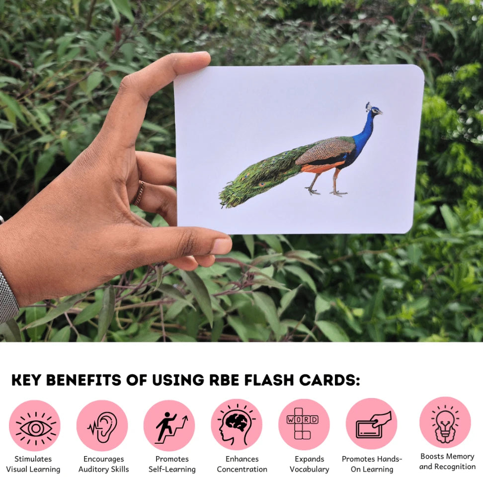 Birds - Right Brain Flash Cards