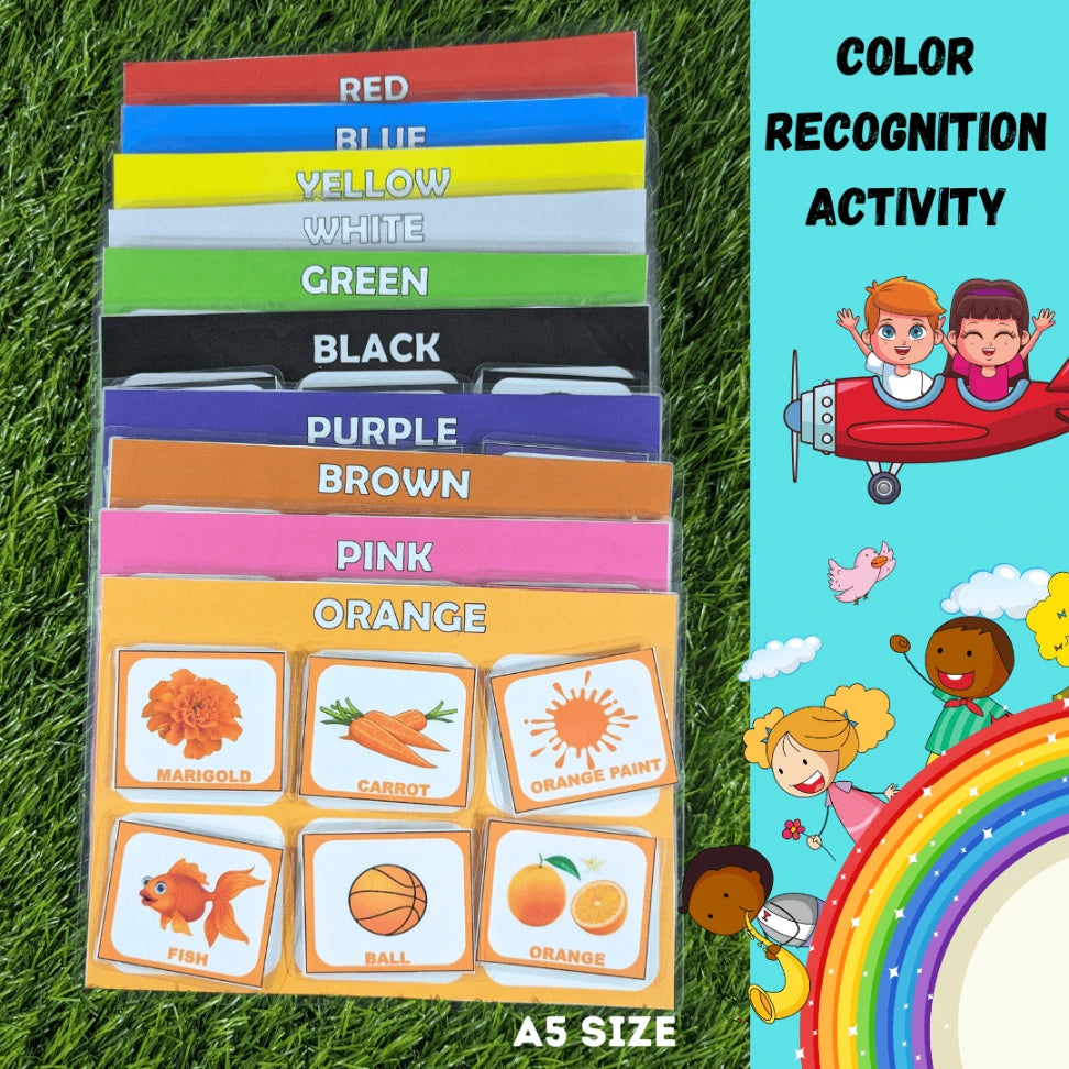 color recognition educational toy