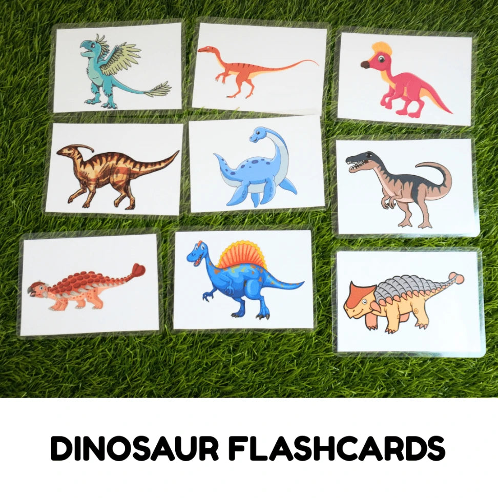educational dinosaur cards for preschoolers