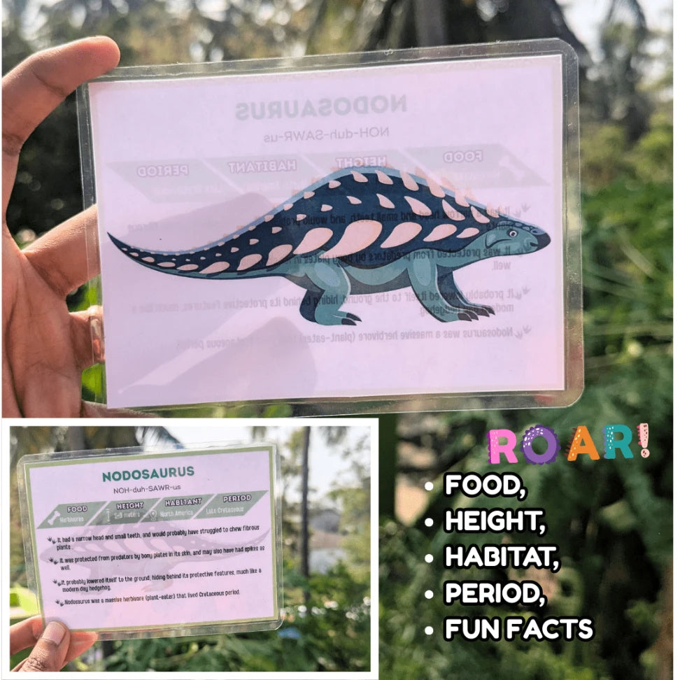 dinosaur fact flashcards for children